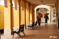 /album/carnevale-12-febbraio-2023/ste00051-jpg/