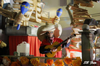 /album/galleria-foto-una-piazza-per-leuropa/ste00172-jpg/